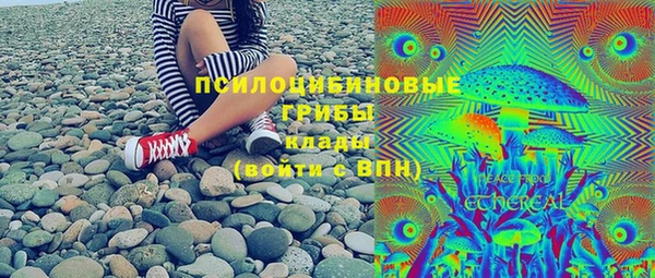 первитин Белокуриха