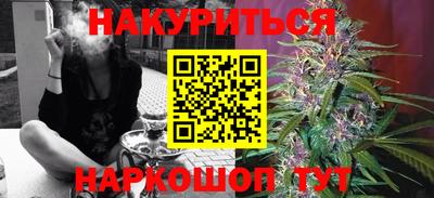 трава Гатчина