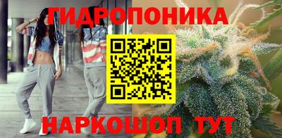 МДПВ Гагарин